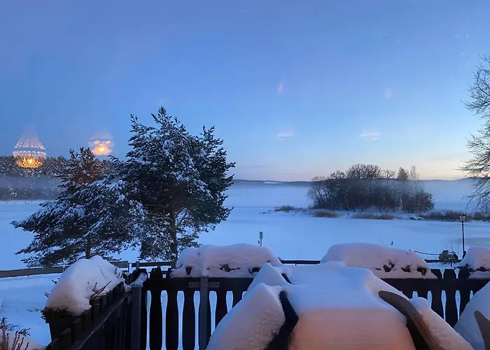 ホテル Riverdam Boutique イルメナウ