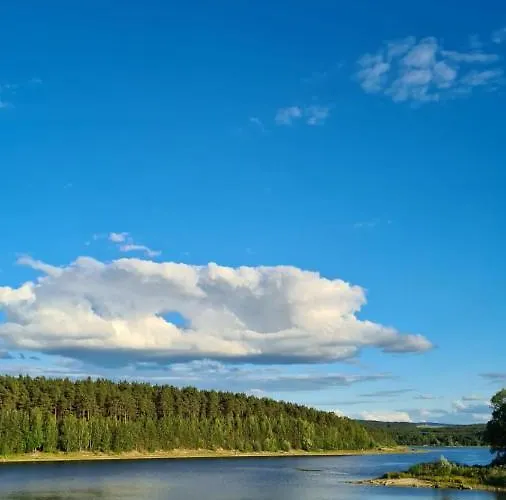 Riverdam Boutique ホテル イルメナウ